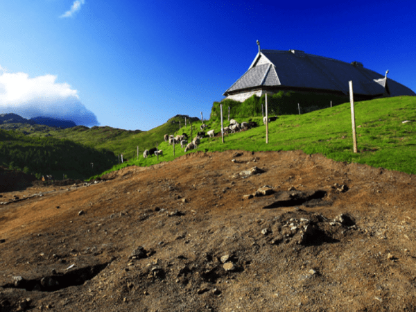 Historia y cultura durante un tour privado por Lofoten